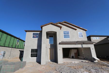 New construction Single-Family house 12134 Hilltop Farms Dr, Dade City, FL 33525 Malibu- photo 89 89