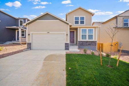 New construction Single-Family house 11991 Lake Trout Dr, Colorado Springs, CO 80925 plan Ash - image 3