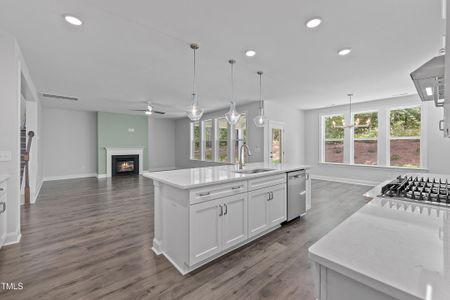 New construction Single-Family house 9168 Dupree Meadow Dr, Unit 15, Angier, NC 27501 - image 14