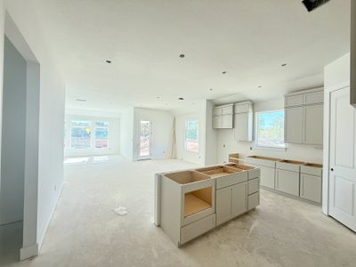 New construction Single-Family house 360 San Saba Dr, Buda, TX 78610 plan Alpine - image