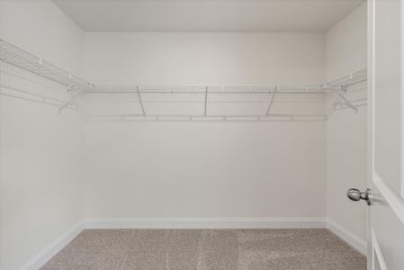 New construction Single-Family house 222 Palfrey Dr, Ridgeville, SC 29472 plan Wilmington - image 17