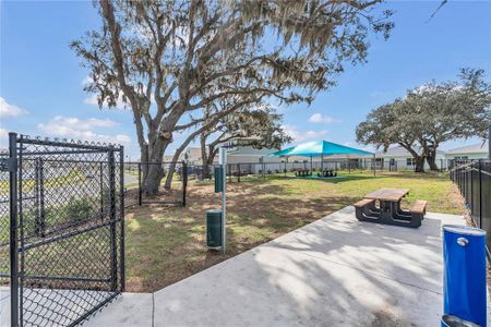 New construction Single-Family house 924 Chasetree Ln, St. Cloud, FL 34771 ASTOR- photo 21 21