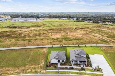 New construction Single-Family house 11843 Hilltop Farms Dr, Dade City, FL 33525 Sentinel- photo 106 106