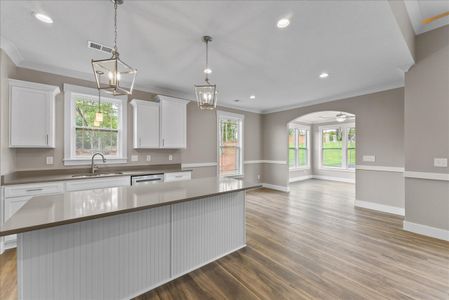 New construction Single-Family house 1127 Tubbs Mountain Rd, Travelers Rest, SC 29690 plan Roosevelt Elite - image 8