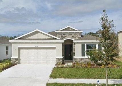 New construction Single-Family house 16988 Oval Rum Dr, Wimauma, FL 33598 null- photo 0