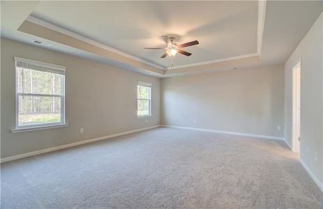 New construction Single-Family house 138 Crabbswood Dr, Mcdonough, GA 30253 Jordan- photo 18 18