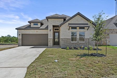 New construction Single-Family house 5540 Paschal Park, New Braunfels, TX 78132 - image