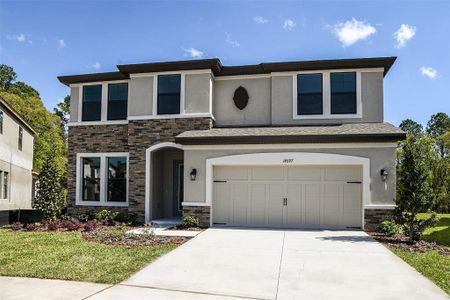 New construction Single-Family house 14739 Gallop Run Drive, Lithia, FL 33547 - photo 0