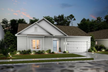 New construction Single-Family house 162 Carolina Oaks Ave, Bluffton, SC 29909 plan San Sebastian - image