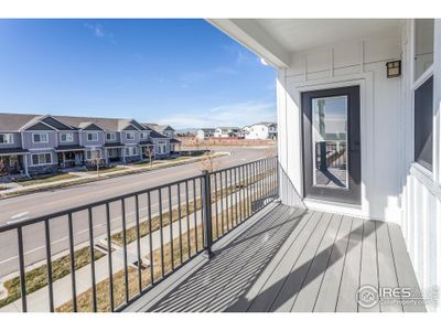 New construction Multi-Family house 2106 Falling Leaf Dr, Windsor, CO 80550 null- photo 29 29