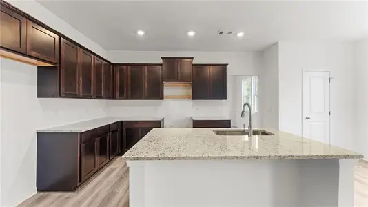 New construction Single-Family house 305 Bloomfield Cir, Canton, GA 30114 plan Graham - image