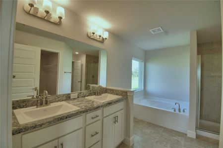 New construction Single-Family house 2359 Friendly Confines Loop, Davenport, FL 33837 - photo 33 33