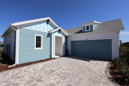New construction Single-Family house 5346 Wolf Creek Dr, Apollo Beach, FL 33572 plan The Hornbeam - image