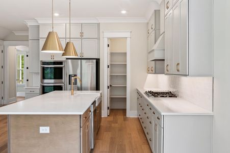 New construction Single-Family house 2508 Annie Aiden Ln, Charleston, SC 29414 plan Davis - image 11