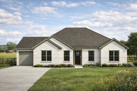 New construction Single-Family house 110 Mesa Dr, Glen Rose, TX 76043 plan Geraldine - image