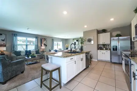 New construction Single-Family house 10826 Trailing Vine Dr, Tampa, FL 33610 null- photo 14 14