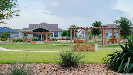 The Crossvine by Scott Felder Homes in Schertz - photo 10 10