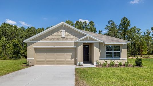 New construction Single-Family house 24 Hickory Crse, Ocala, FL 34472 null- photo 18 18