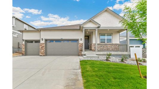 New construction Single-Family house 4562 Cattle Cross Trl, Castle Rock, CO 80104 Chatham- photo 0