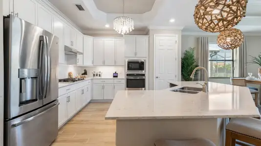 New construction Single-Family house 19151 Covenant Wy, Bradenton, FL 34202 Victoria- photo 0