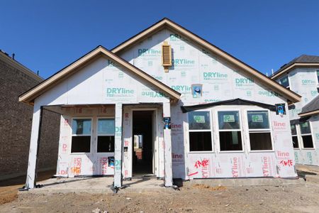 1234 Beebalm Mews ~ under construction