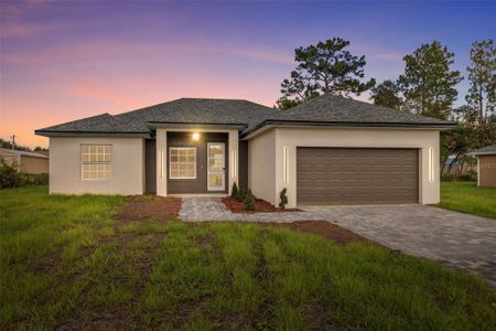 New construction Single-Family house 2411 Sw 161St Ln, Ocala, FL 34473 - image