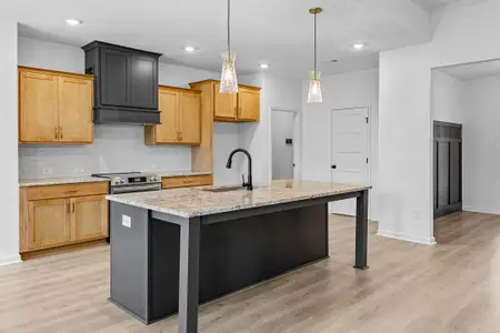 New construction Single-Family house 1224 Waymanville Rd, Thomaston, GA 30286 plan Copeland - image 6