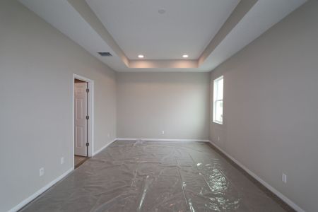 New construction Single-Family house 3142 Adams Cross Dr, Zephyrhills, FL 33540 Picasso- photo 82 82