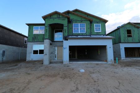 New construction Single-Family house 38338 Tobiano Loop, Dade City, FL 33525 Mira Lago- photo 49 49