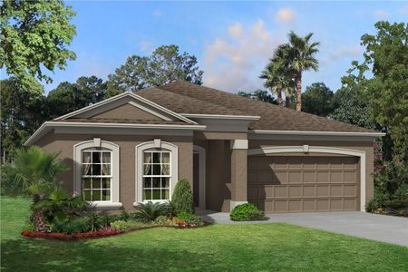 New construction Single-Family house 31979 Sapna Chime Drive, Wesley Chapel, FL 33543 - photo 0