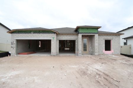 New construction Single-Family house 3116 Marine Grass Dr, Wimauma, FL 33598 Barcello- photo 4 4