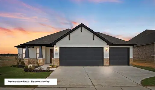 New construction Single-Family house 412 Mcalpine, Springtown, TX 76082 - image