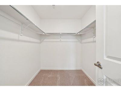 New construction Single-Family house 448 Whisperwind Ln, Fort Collins, CO 80524 plan Cantata - image 12