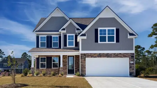 New construction Single-Family house 604 Asiatic Ct, Conway, SC 29526 plan Forrester - image