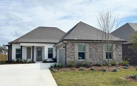 New construction Single-Family house 43 Lumen Lp, Freeport, FL 32439 plan Henri III G - image