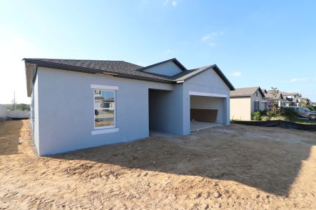 New construction Single-Family house 12263 Hilltop Farms Dr, Dade City, FL 33525 Sentinel- photo 68 68