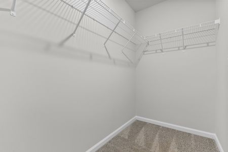 New construction Single-Family house 2416 Daylily St, Unit (154), Sumter, SC 29153 plan Poplar A - image 15
