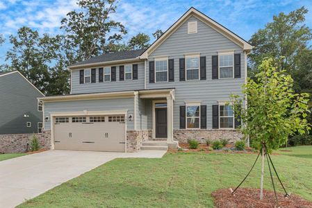 New construction Single-Family house 1057 Climbing Rose Way, Mcdonough, GA 30253 Lehigh- photo 0