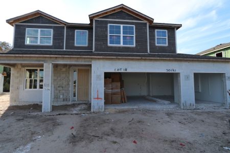 New construction Single-Family house 20131 Oriana Loop, Land O' Lakes, FL 34638 Sonoma II- photo 81 81