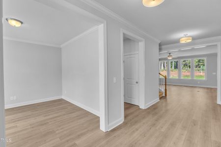 New construction Single-Family house 9164 Dupree Meadow Dr, Angier, NC 27501 plan The Hampton - image 19