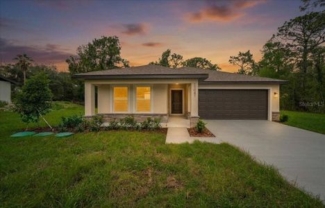 New construction Single-Family house 11041 Spoonbill Rd, Weeki Wachee, FL 34613 - image