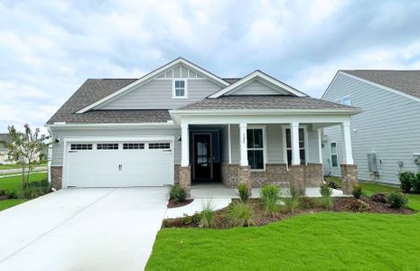 New construction Single-Family house 325 Keepsake Dr, Wilmington, NC 28412 plan Palmary - image
