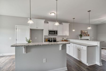 New construction Single-Family house 78 Oakbridge Way, Princeton, NC 27569 null- photo 14 14