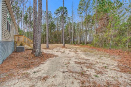 New construction Mobile Home house 738 Campground Rd, Walterboro, SC 29488 - image