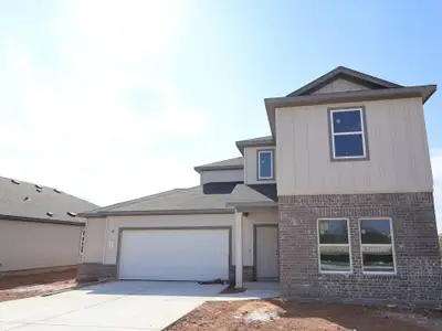New construction Single-Family house 19901 Hirono Dr, Manor, TX 78653 plan Livingston - image
