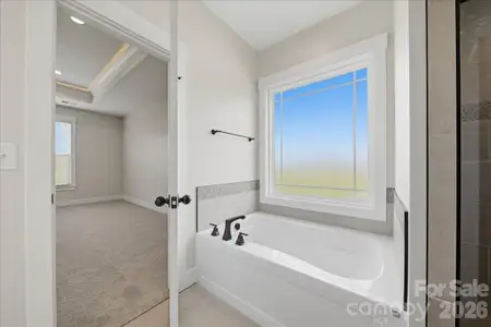 New construction Single-Family house 36 Sky Lane Ct, Unit 1, Columbus, NC 28722 - image 6