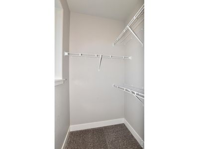 New construction Single-Family house 1196 Crown Sparrow St, Johnstown, CO 80534 - image 19