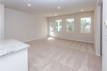 New construction Single-Family house 189 Hydrangea Ct, Dallas, GA 30132 Augusta- photo 4 4
