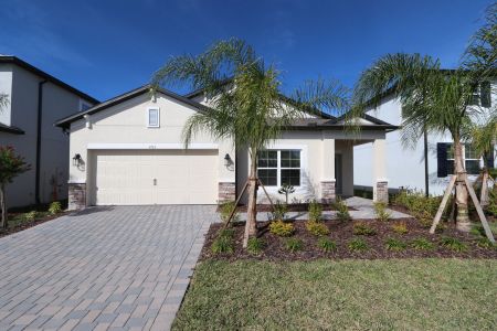 New construction Single-Family house 4763 Beachrose Way, Lakeland, FL 33811 Picasso- photo 33 33