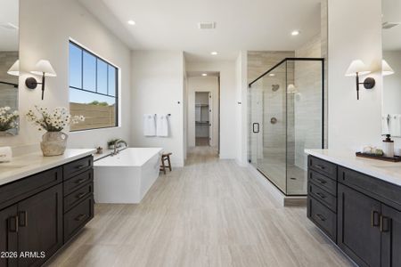 New construction Single-Family house 1563 E Cherrywood Pl, Chandler, AZ 85249 plan Daviana - image 13